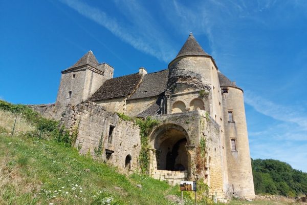 Chateau de Salignac